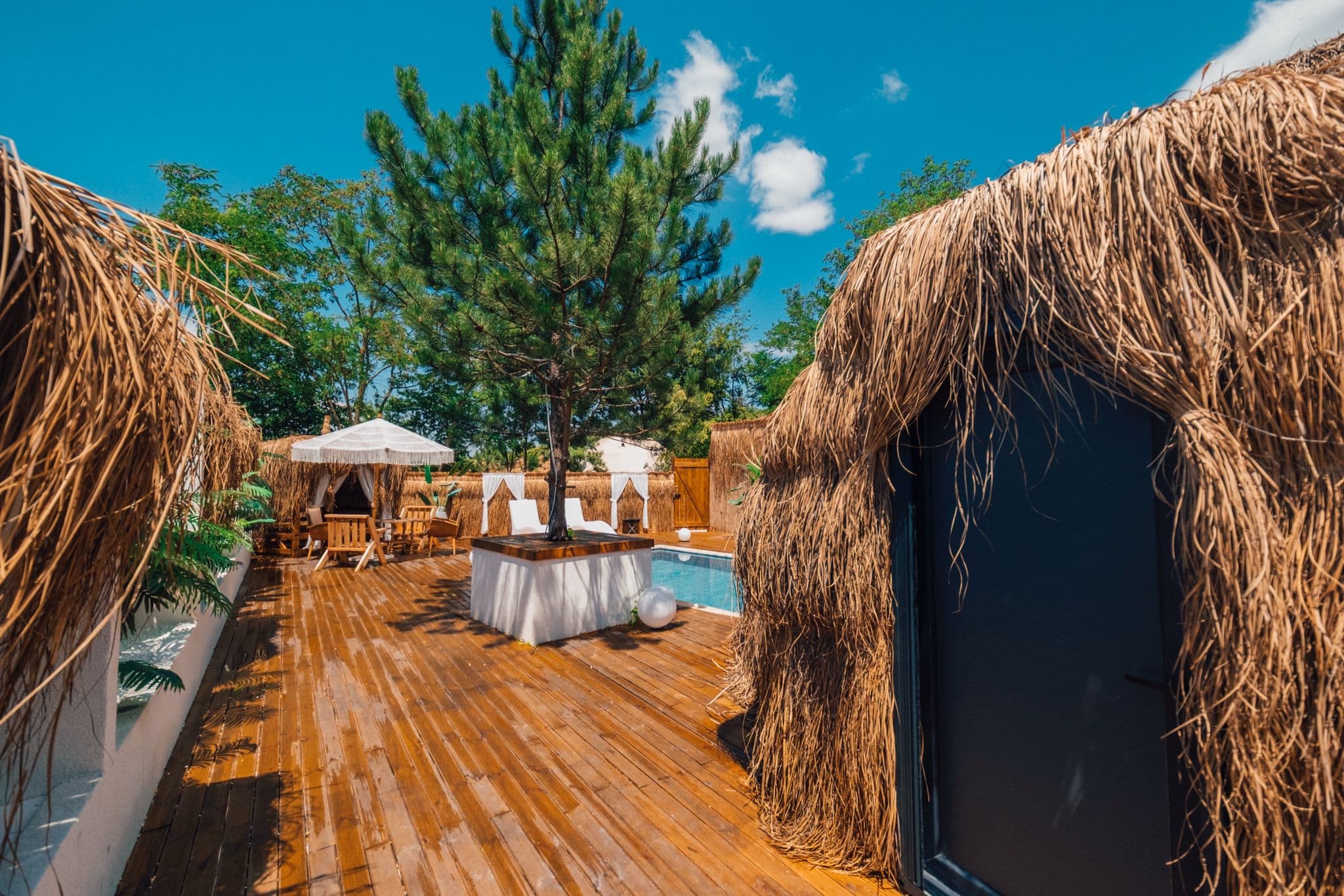 Dome Glamping fotoğrafı 23
