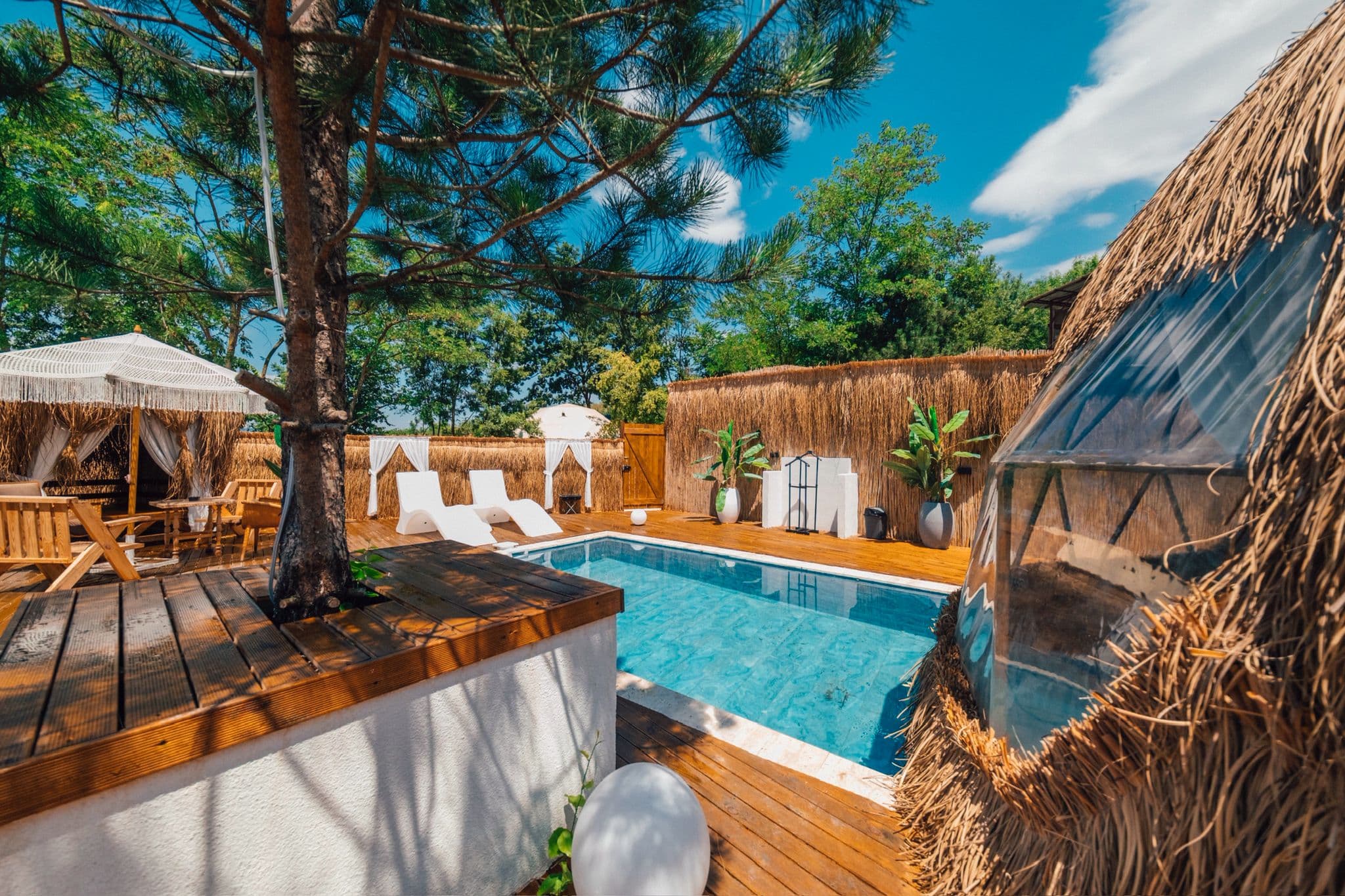 Dome Glamping fotoğrafı 24