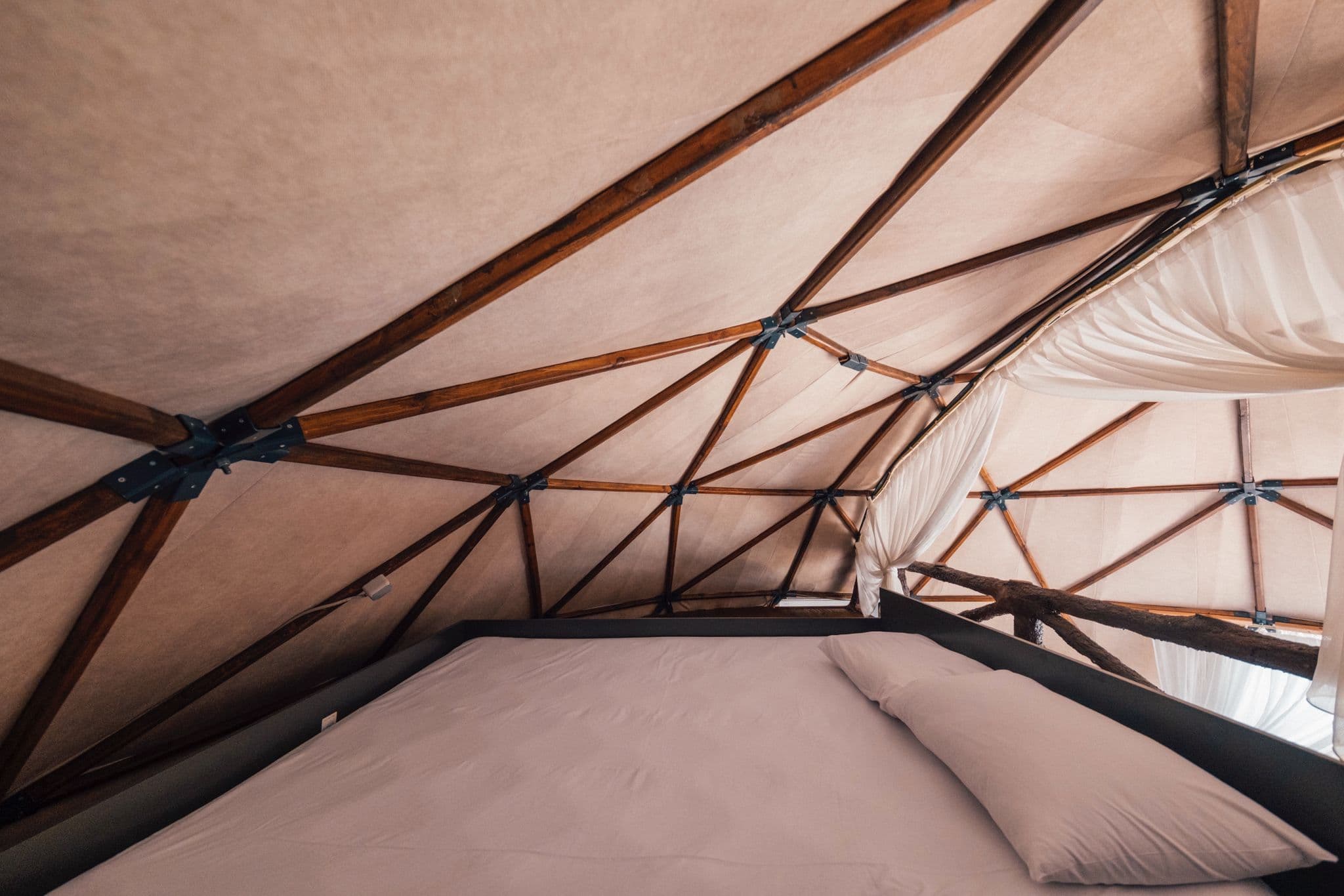 Dome Glamping fotoğrafı 28