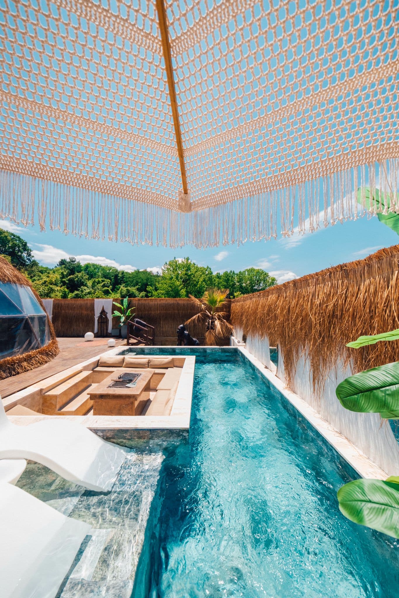 Dome Glamping fotoğrafı 36